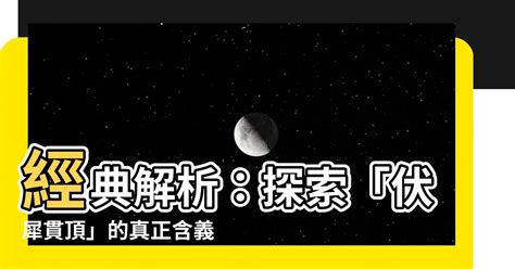 伏犀貫頂|伏犀的意思